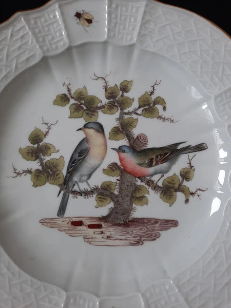 Meissen Porcelain Ornithological Plate with Bugs, 19th C # 1