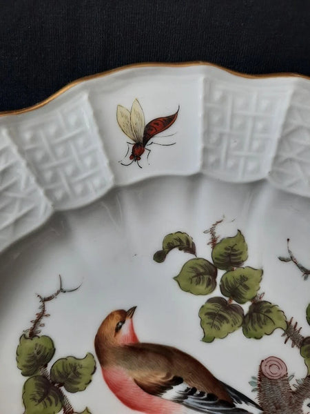 Meissen Porcelain Ornithological Plate with Bugs, 19th C # 2