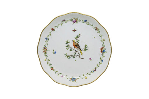 Loosdrecht Ornithological Plate 1780-1785