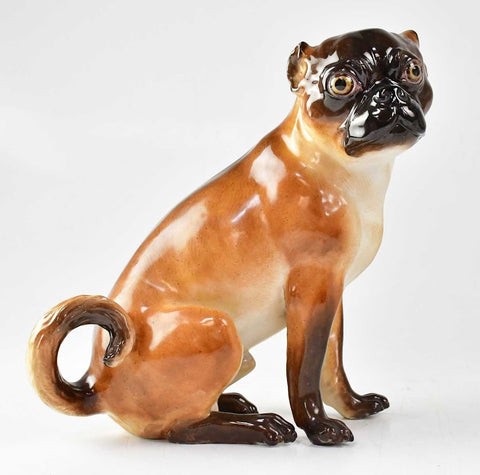 Meissen Porcelain Large Pug 19th C