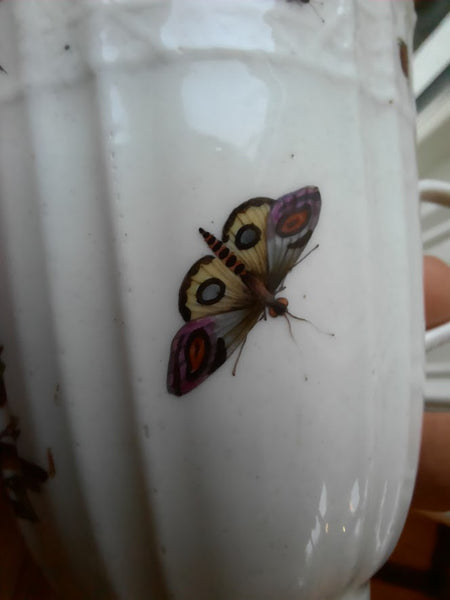 Meissen Porcelain Ornithological Coffee Cup & Saucer 1735-1740 (1)