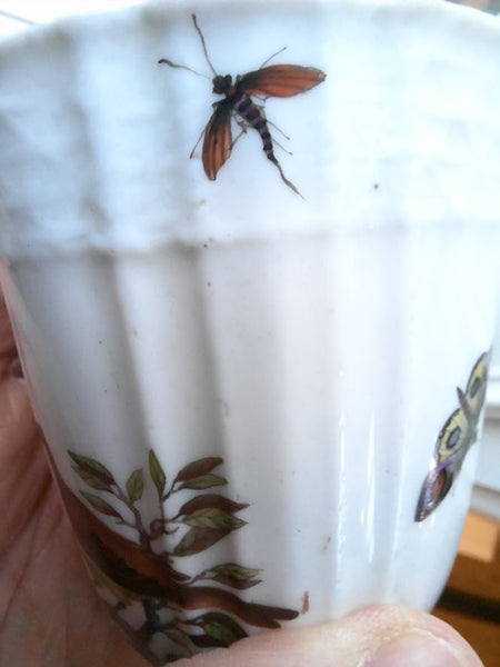 Tasse À Café Et Soucoupe Ornithologique En Porcelaine De Meissen 1735-1740 (1) 