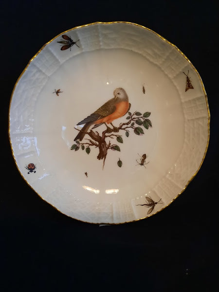 Meissen Porcelain Ornithological Coffee Cup & Saucer 1735-1740 (1)