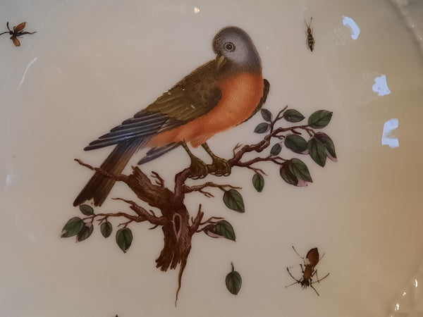 Meissener Ornithologische Kaffeetasse und Untertasse aus Porzellan, 1735-1740 (1) 