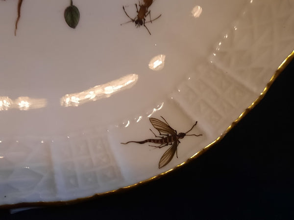 Tasse À Café Et Soucoupe Ornithologique En Porcelaine De Meissen 1735-1740 (1) 