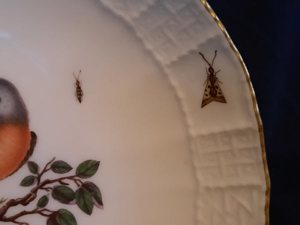 Meissen Porcelain Ornithological Coffee Cup & Saucer 1735-1740 (1)