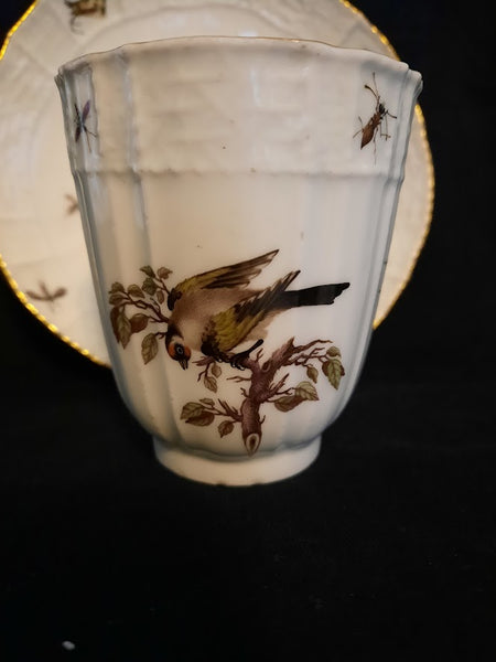 Meissener Ornithologische Kaffeetasse und Untertasse aus Porzellan, 1735-1740 (2) 