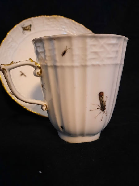 Meissen Porcelain Ornithological Coffee Cup & Saucer 1735-1740 (2)