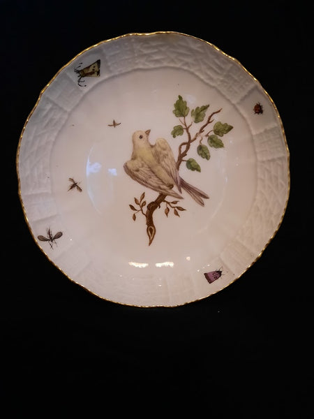 Tasse à café et soucoupe ornithologique en porcelaine de Meissen 1735-1740 (2) 