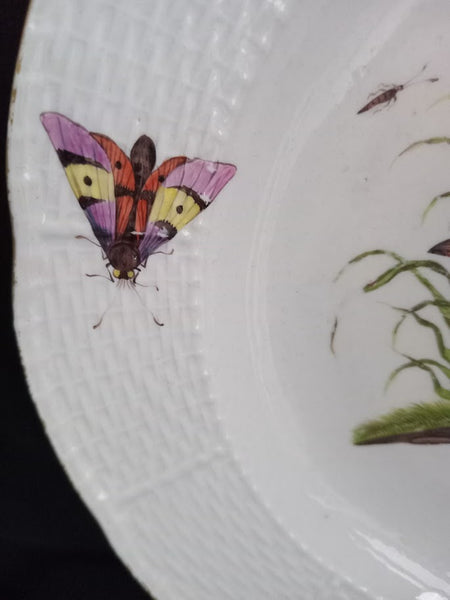 Meissen Porcelain Ornithological Plate, 1740-1745.