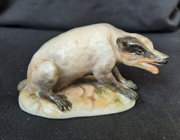 Meissen Figure of a Badger, Circa 1870