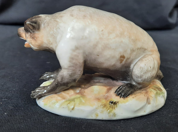Meissen Figure of a Badger, Circa 1870
