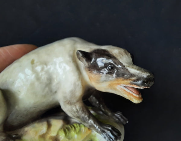 Meissen Figure of a Badger, Circa 1870