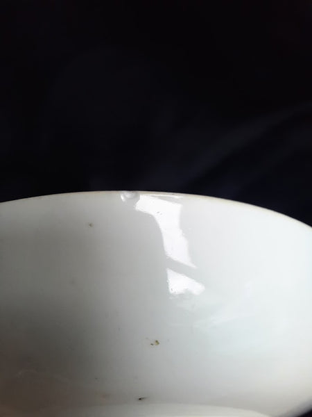 Hochst Fruit Pattern Coffee Cup & Saucer. Circa 1770