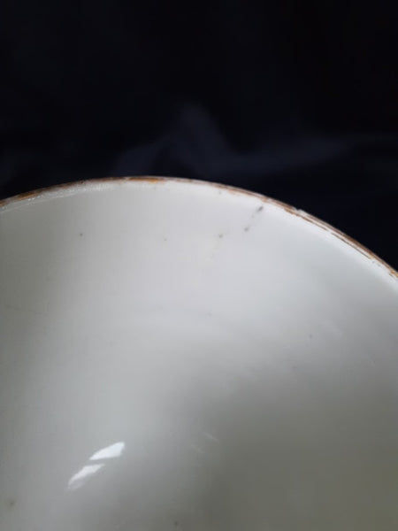 Hochst Fruit Pattern Coffee Cup & Saucer. Circa 1770
