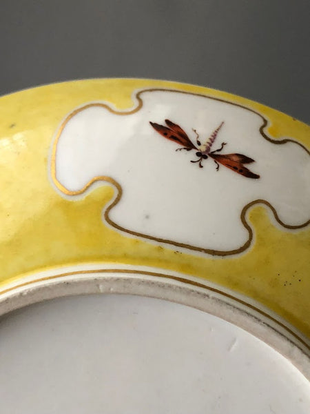 Nymphenburg Porcelain Scenic Yellow Ground Saucer with Bugs 1760-70