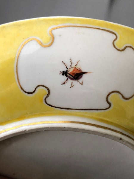 Nymphenburg Porcelain Scenic Yellow Ground Saucer with Bugs 1760-70