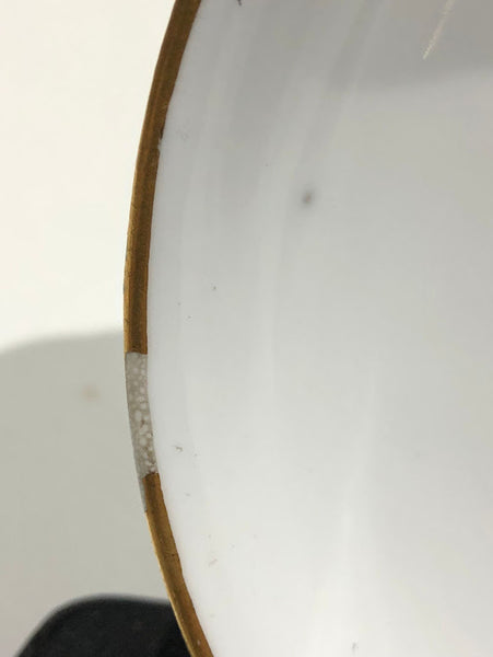 Meissen Turquoise Ground Cup & Saucer with Courting Couples, circa 1740 #6