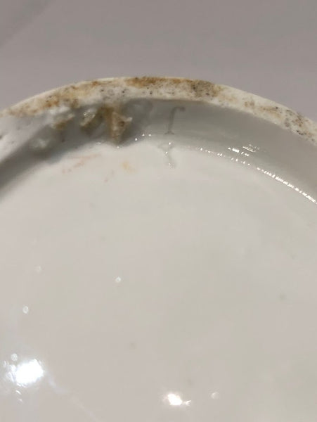 Nymphenburg Porcelain Tea Caddy with Fruit & Bugs, 1765- 1770