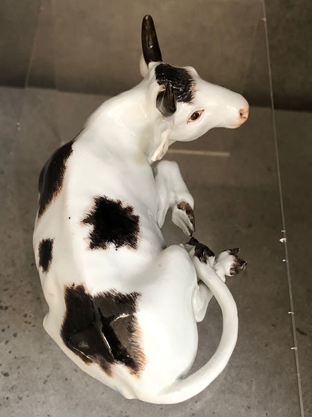 Meissen Porcelain Figurine of a Recumbent Fresian Cow, 1750 #2