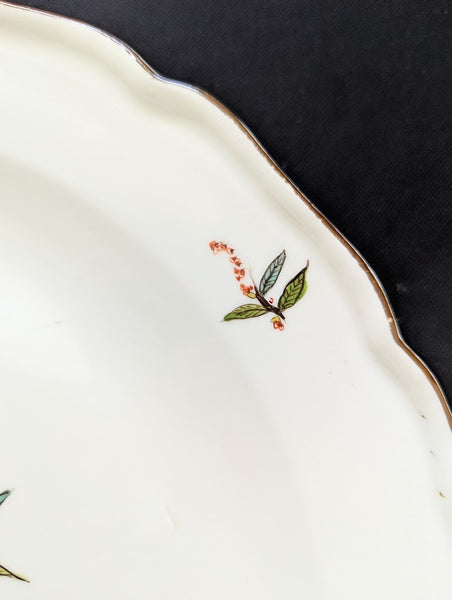 Meissen Porcelain Butterfly (Schmetterling) Charger with Drehers Marks 18th C