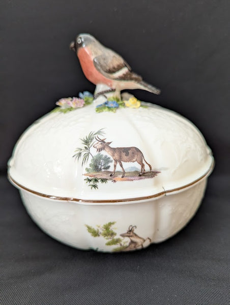 Meissen Porcelain Ornithological Tureen 1745-50