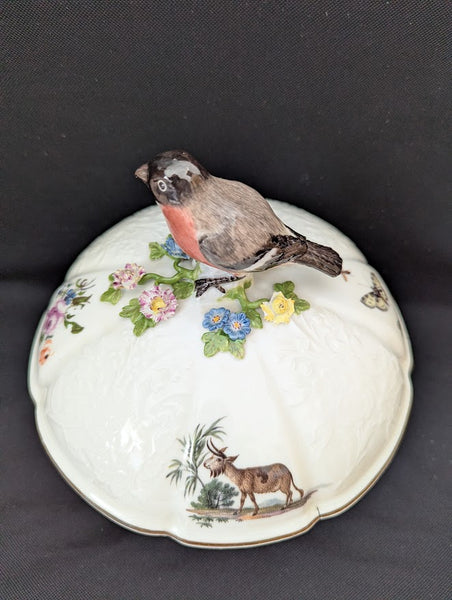 Meissen Porcelain Ornithological Tureen 1745-50