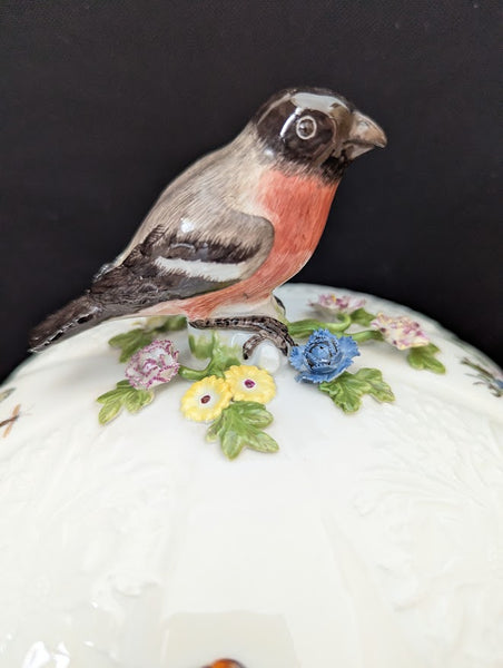Meissen Porcelain Ornithological Tureen 1745-50