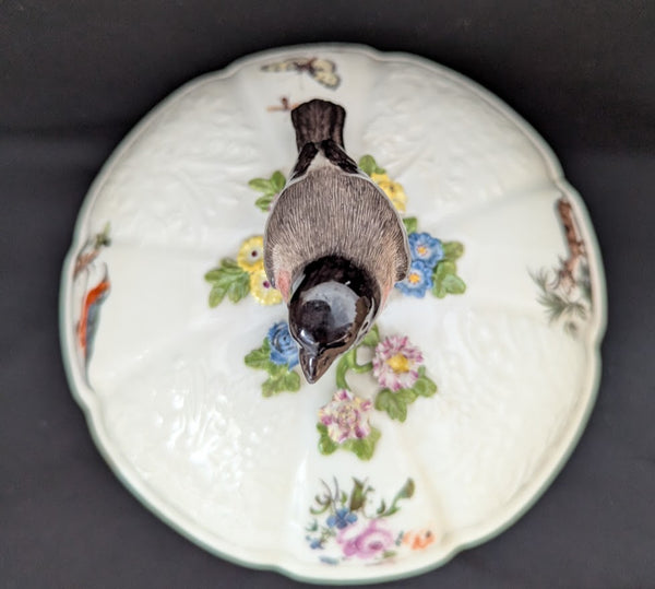 Meissen Porcelain Ornithological Tureen 1745-50