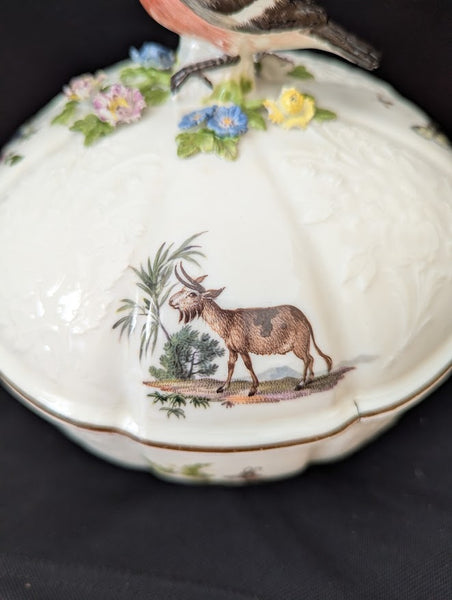 Meissen Porcelain Ornithological Tureen 1745-50