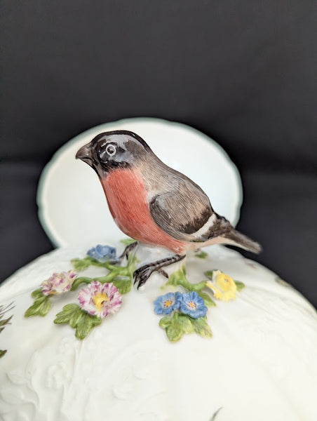 Meissen Porcelain Ornithological Tureen 1745-50