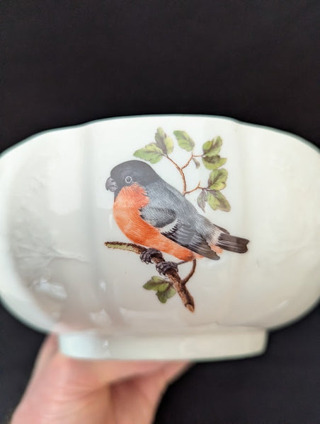 Meissen Porcelain Ornithological Tureen 1745-50