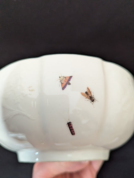 Meissen Porcelain Ornithological Tureen 1745-50