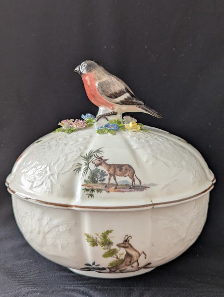 Meissen Porcelain Ornithological Tureen 1745-50