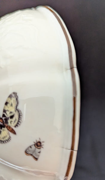 Meissen Porcelain Ornithological Tureen 1745-50