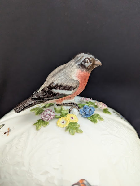 Meissen Porcelain Ornithological Tureen 1745-50