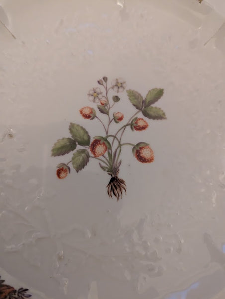 Meissen Porcelain Gotzkowsky Dinner Plate with Leopard Circa 1745