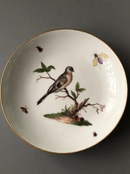 Meissen Porcelain Ornithological Coffee Cup & Saucer 1740-45 #2