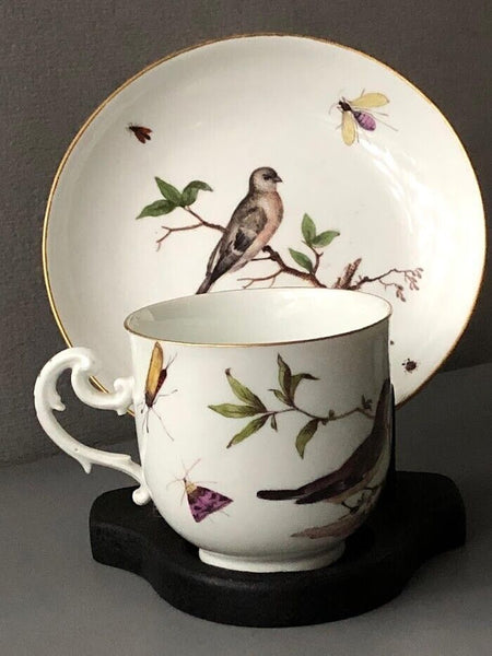 Meissen Porcelain Ornithological Coffee Cup & Saucer 1740-45 #2