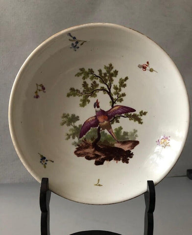Frankenthal Porcelain Birds of Paradise Saucer 1775- 1780