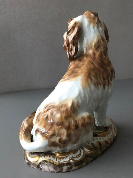 Meissen Porcelain Figure of a Bolognese Terrier, 19th century