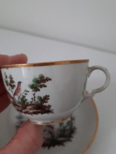 Doccia Porcelain Ornithological Tea Cup & Saucer, 1775