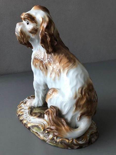 Meissen Porcelain Figure of a Bolognese Terrier, 19th century