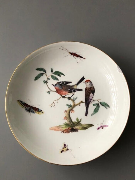 Meissen Ornithological Coffee Cup & Saucer 1740-1745 #3