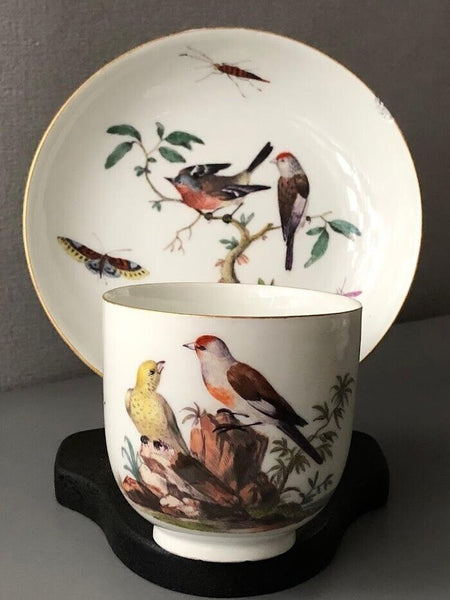 Meissen Ornithological Coffee Cup & Saucer 1740-1745 #3