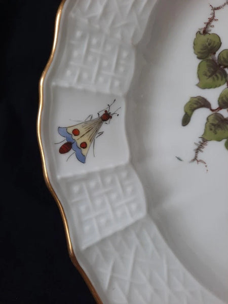 Meissen Porcelain Ornithological Plate with Bugs, 19th C # 2