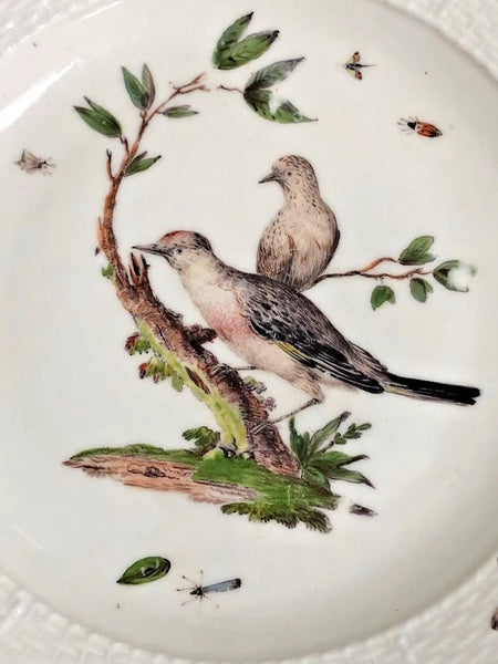 Meissen Porcelain Ornithological Plate, 1750