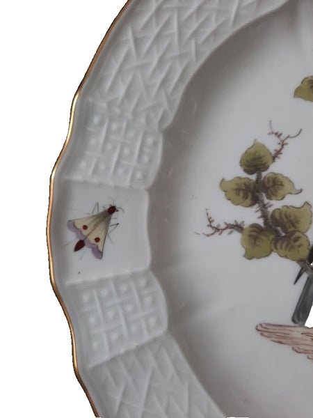 Meissen Porcelain Ornithological Plate with Bugs, 19th C # 1