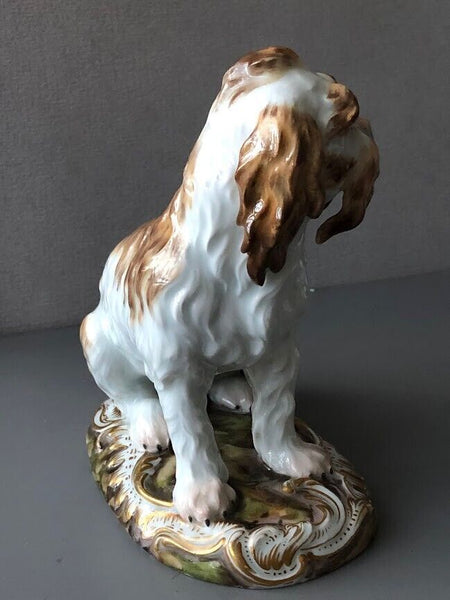 Meissen Porcelain Figure of a Bolognese Terrier, 19th century