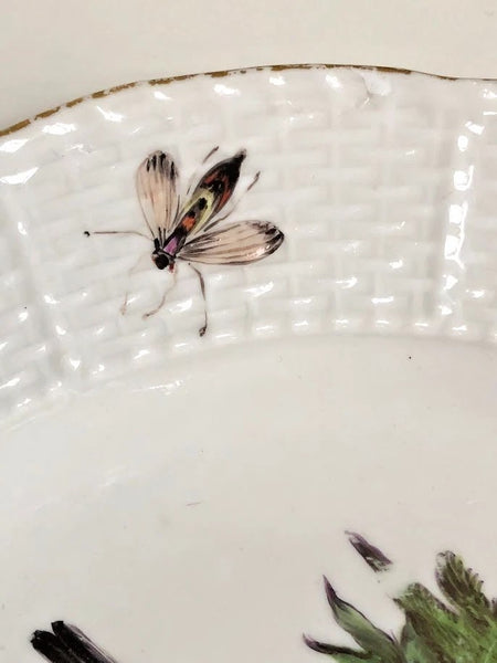 Meissen Porcelain Ornithological Plate, 1750